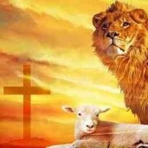 Meet your Posher, Manuel